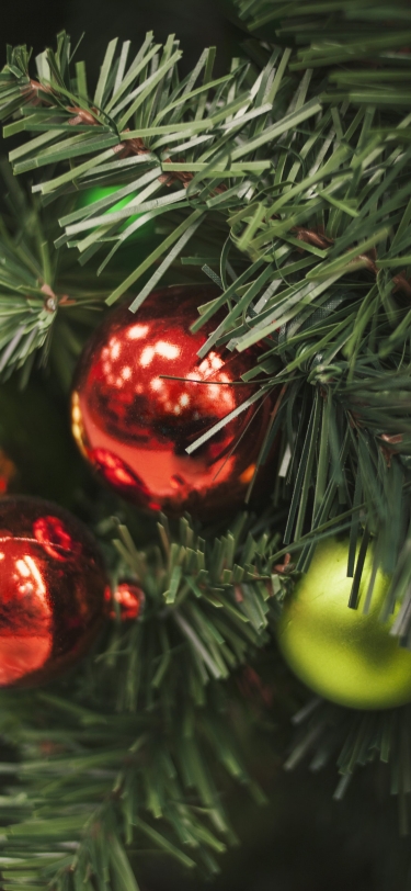 Christmas Lighting 